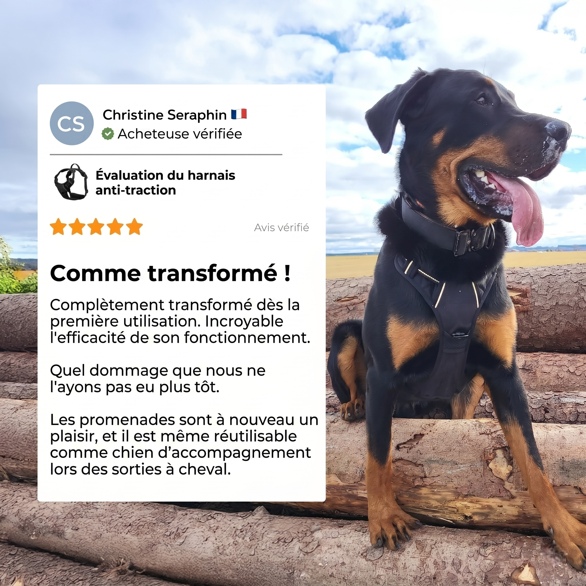 Témoignage de Christine Seraphin sur le harnais anti-traction : 'Comme transformé ! Complètement transformé dès la première utilisation.