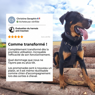 Témoignage de Christine Seraphin sur le harnais anti-traction : 'Comme transformé ! Complètement transformé dès la première utilisation.