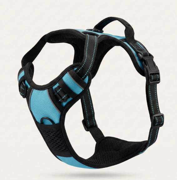 Harnais anti-traction et ergonomique pour chien de couleur bleu turquoise, équipé de bandes réfléchissantes et d'une poignée de contrôle sur le dessus.