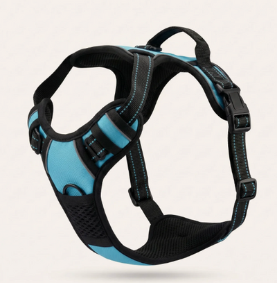 Harnais anti-traction et ergonomique pour chien de couleur bleu turquoise, équipé de bandes réfléchissantes et d'une poignée de contrôle sur le dessus.