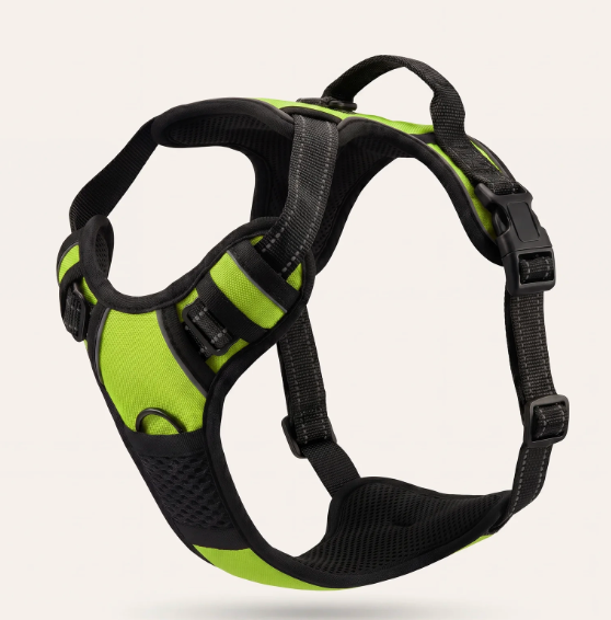 Harnais anti-traction et ergonomique pour chien de couleur vert, équipé de bandes réfléchissantes et d'une poignée de contrôle sur le dessus.