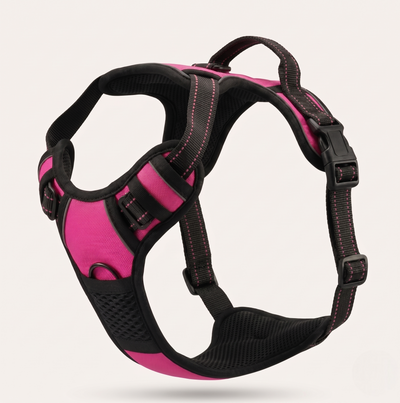 Harnais anti-traction et ergonomique pour chien de couleur rose, équipé de bandes réfléchissantes et d'une poignée de contrôle sur le dessus.