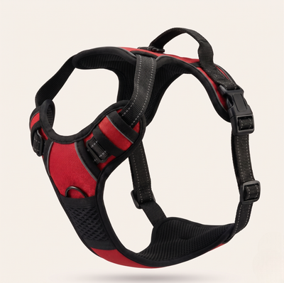 Harnais anti-traction et ergonomique pour chien de couleur rouge, équipé de bandes réfléchissantes et d'une poignée de contrôle sur le dessus.