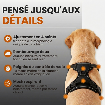 Détails techniques du harnais pour chien : ajustement en 4 points, rembourrage doux, poignée de contrôle dorsale et mesh respirant.